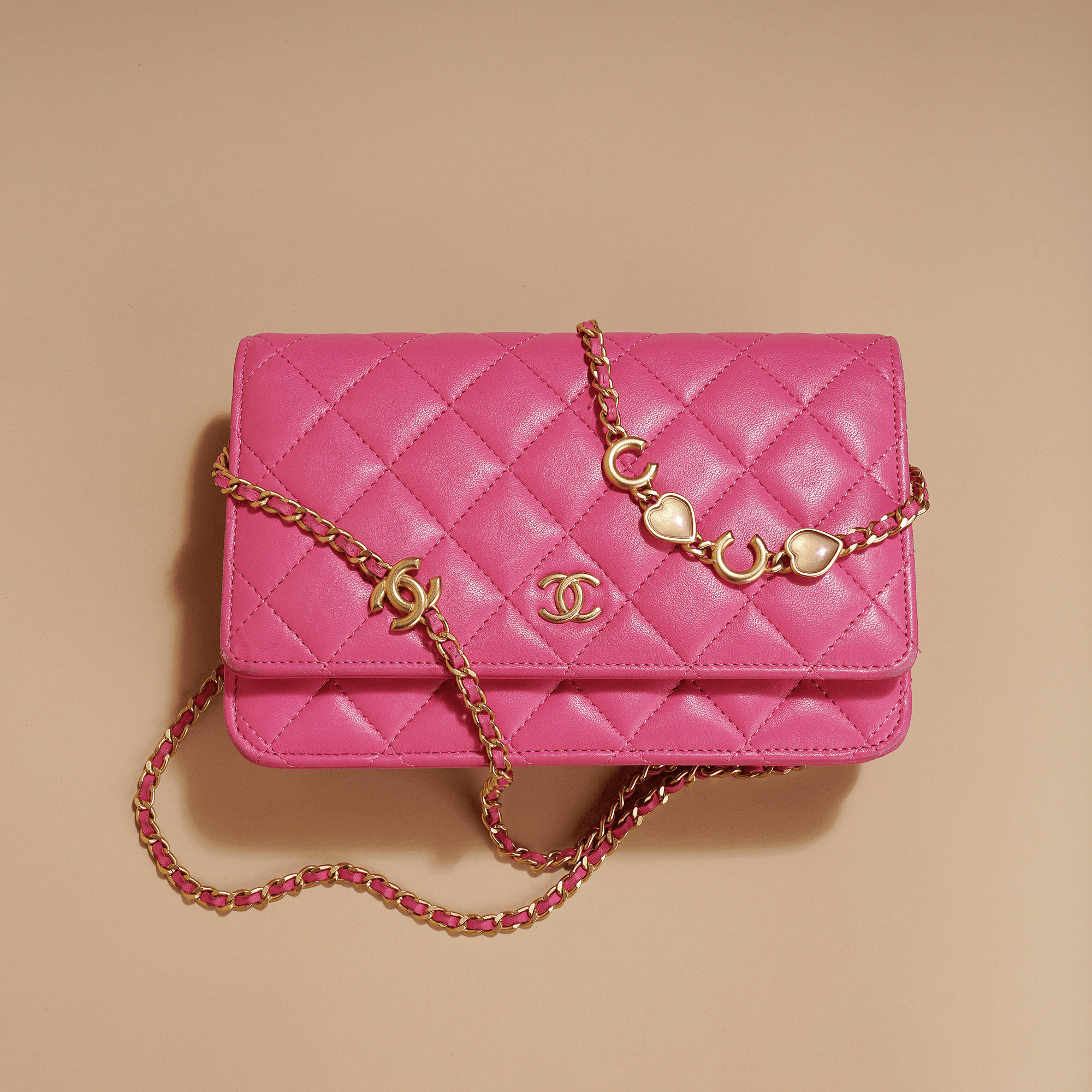 Wallet on Chain header image