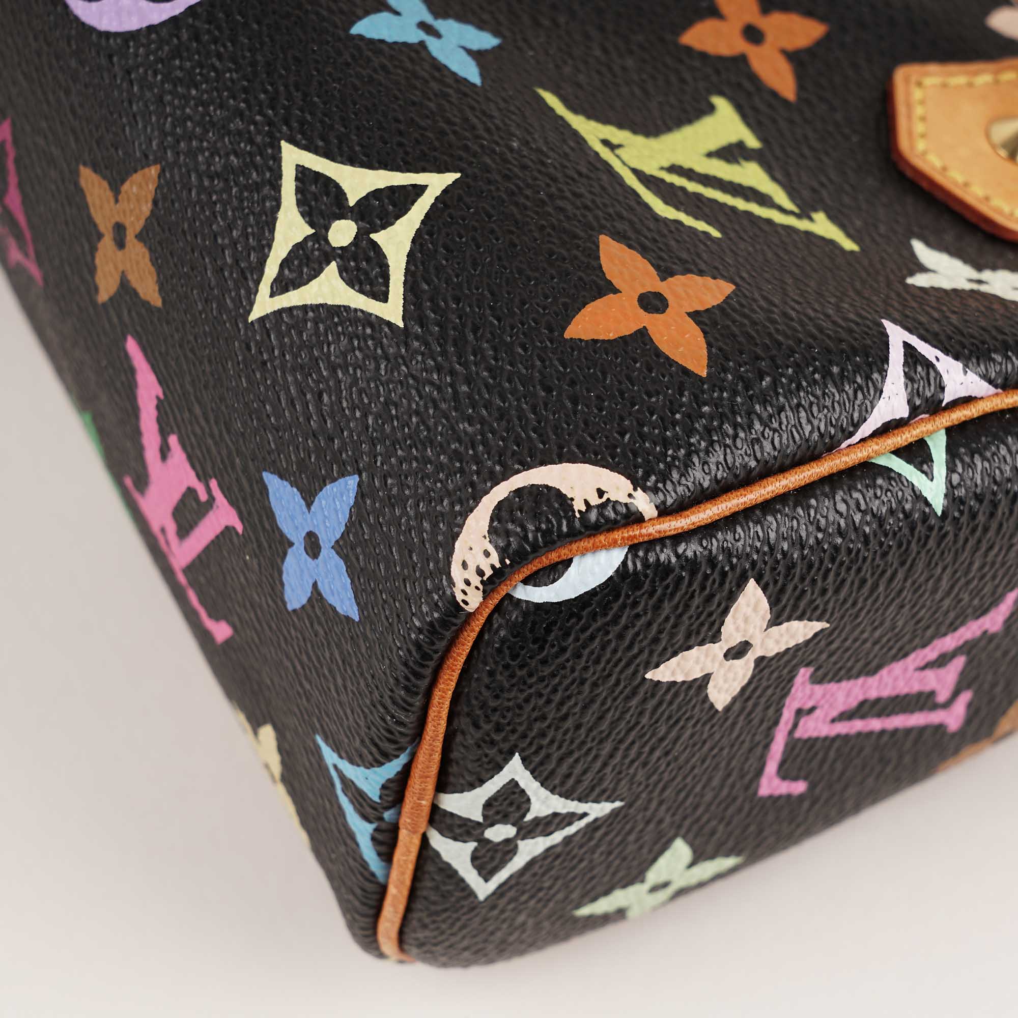 Speedy Nano Handbag image