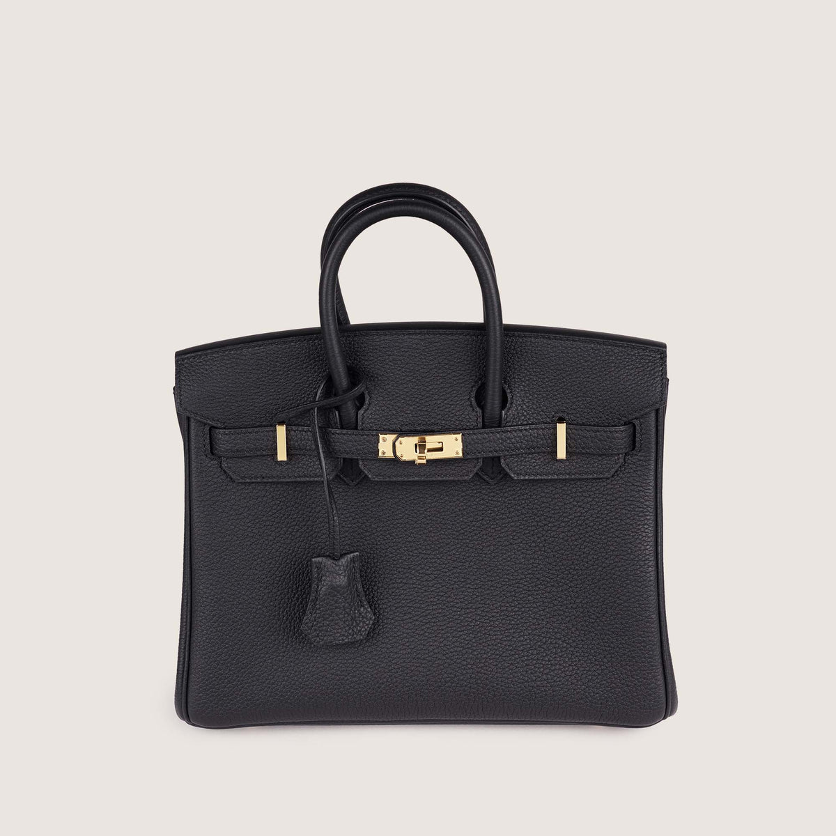 Birkin 25 Handbag 2026