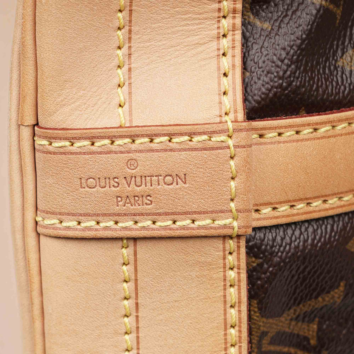 Large Noé Bucket Bag image