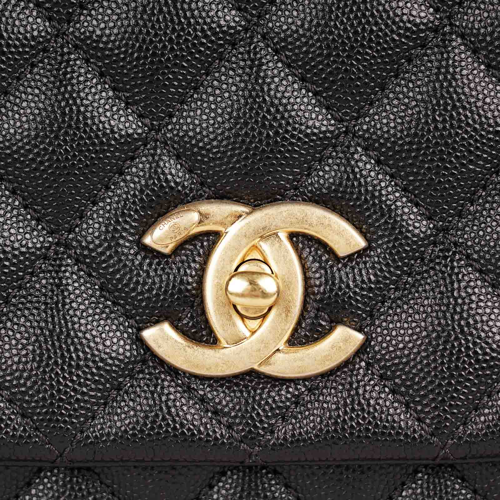 Coco Lizard Top Handle Bag image