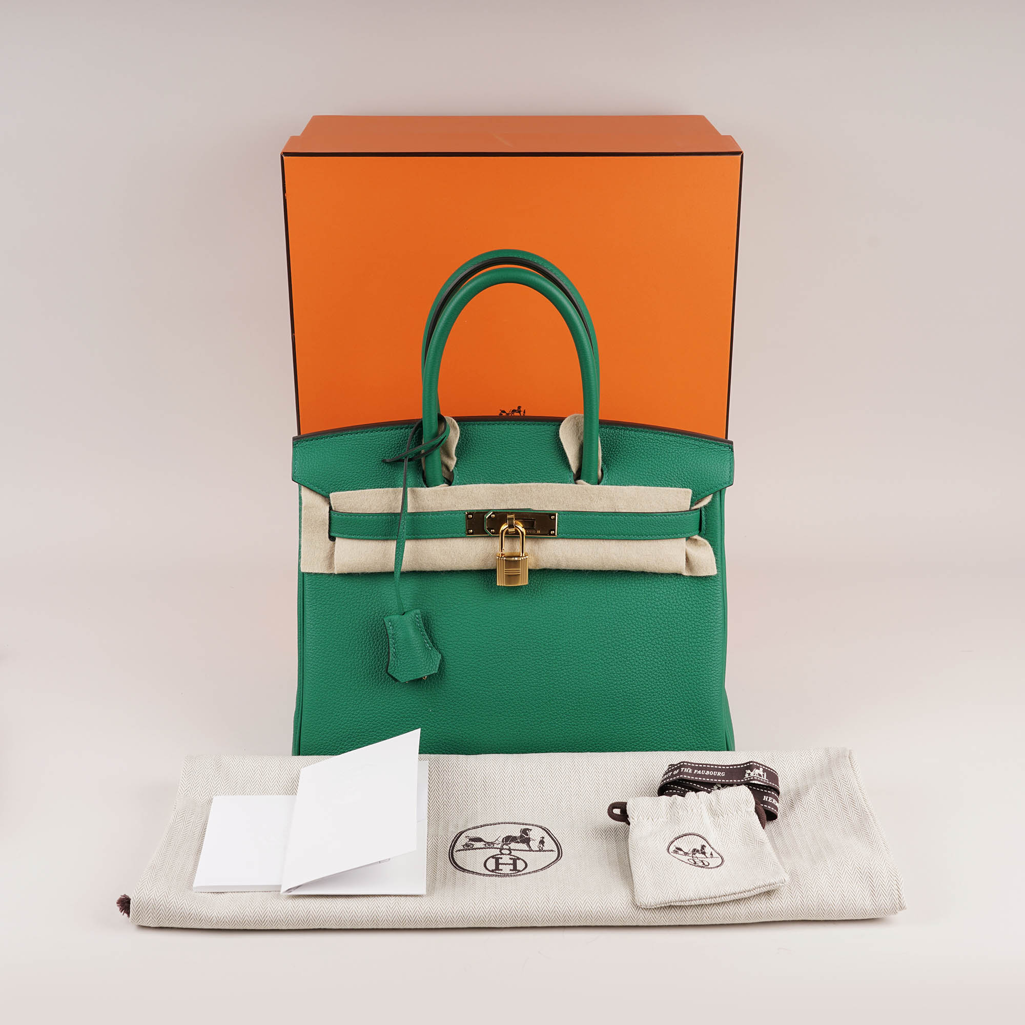 Birkin 30 Handbag 2024 image