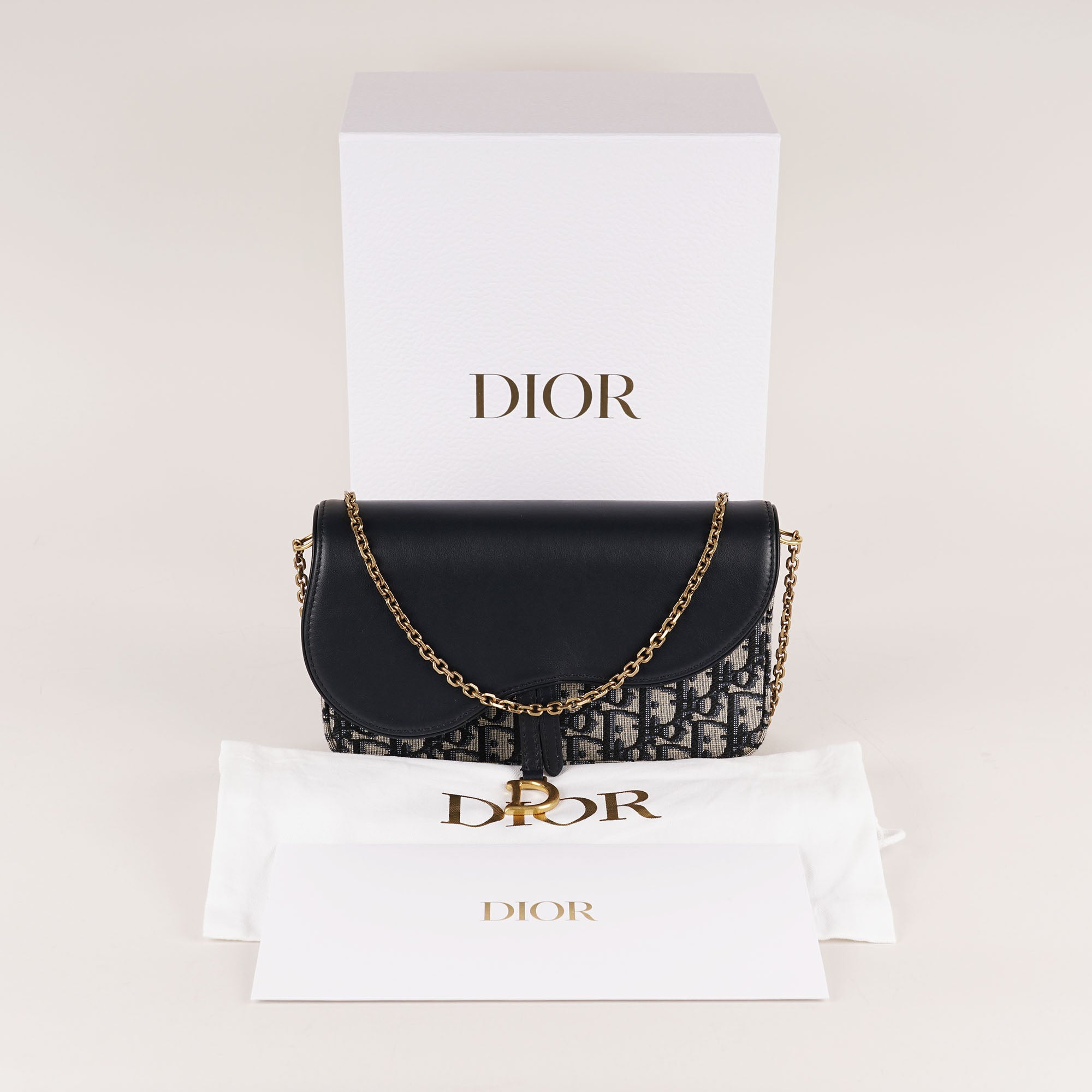 Medium Saddle Pouch with Chain image