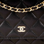 Wallet On Chain thumbnail image
