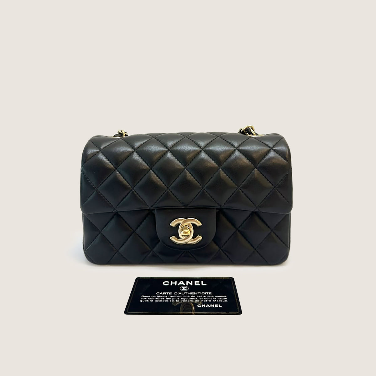 Mini Rectangular Flap Bag image
