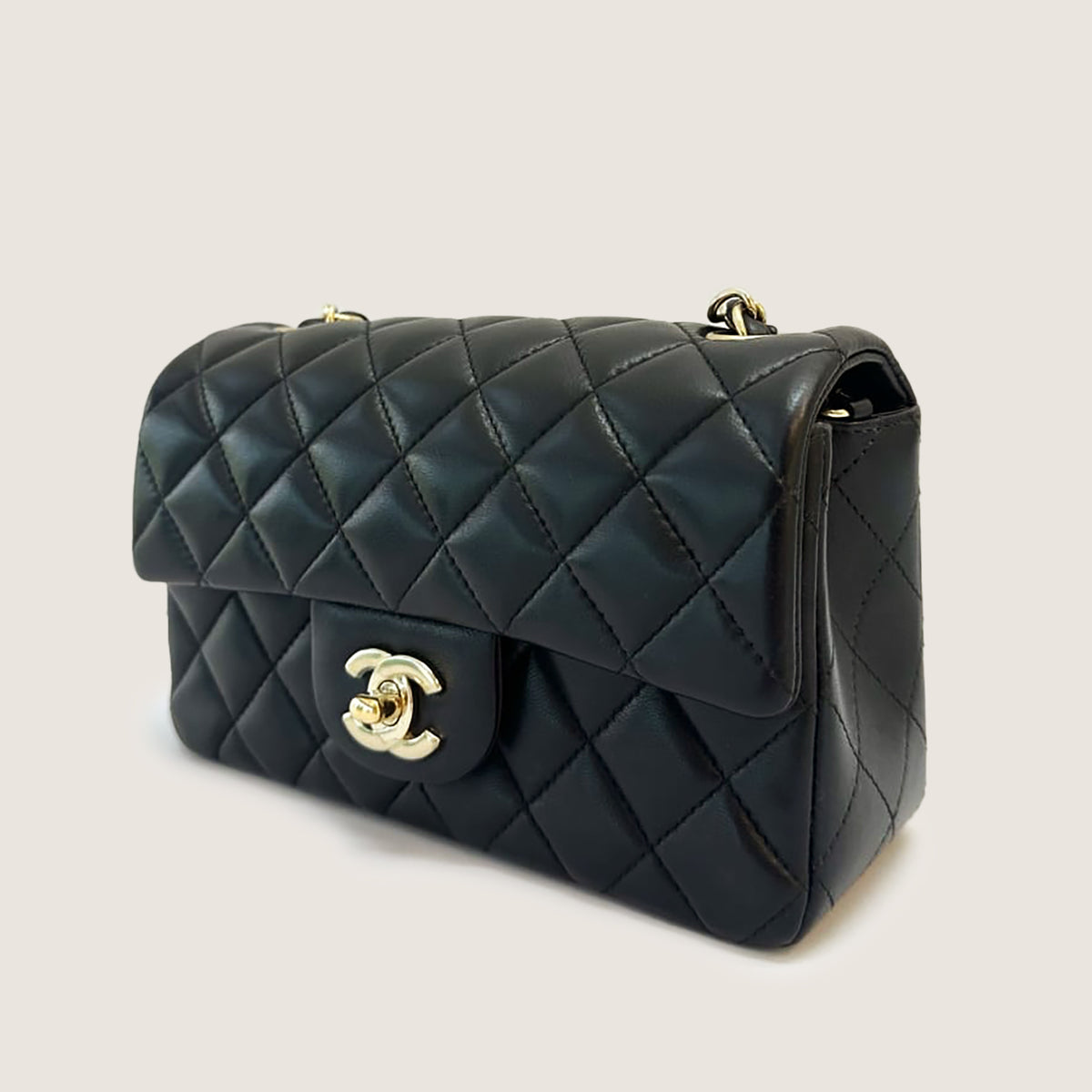Mini Rectangular Flap Bag image