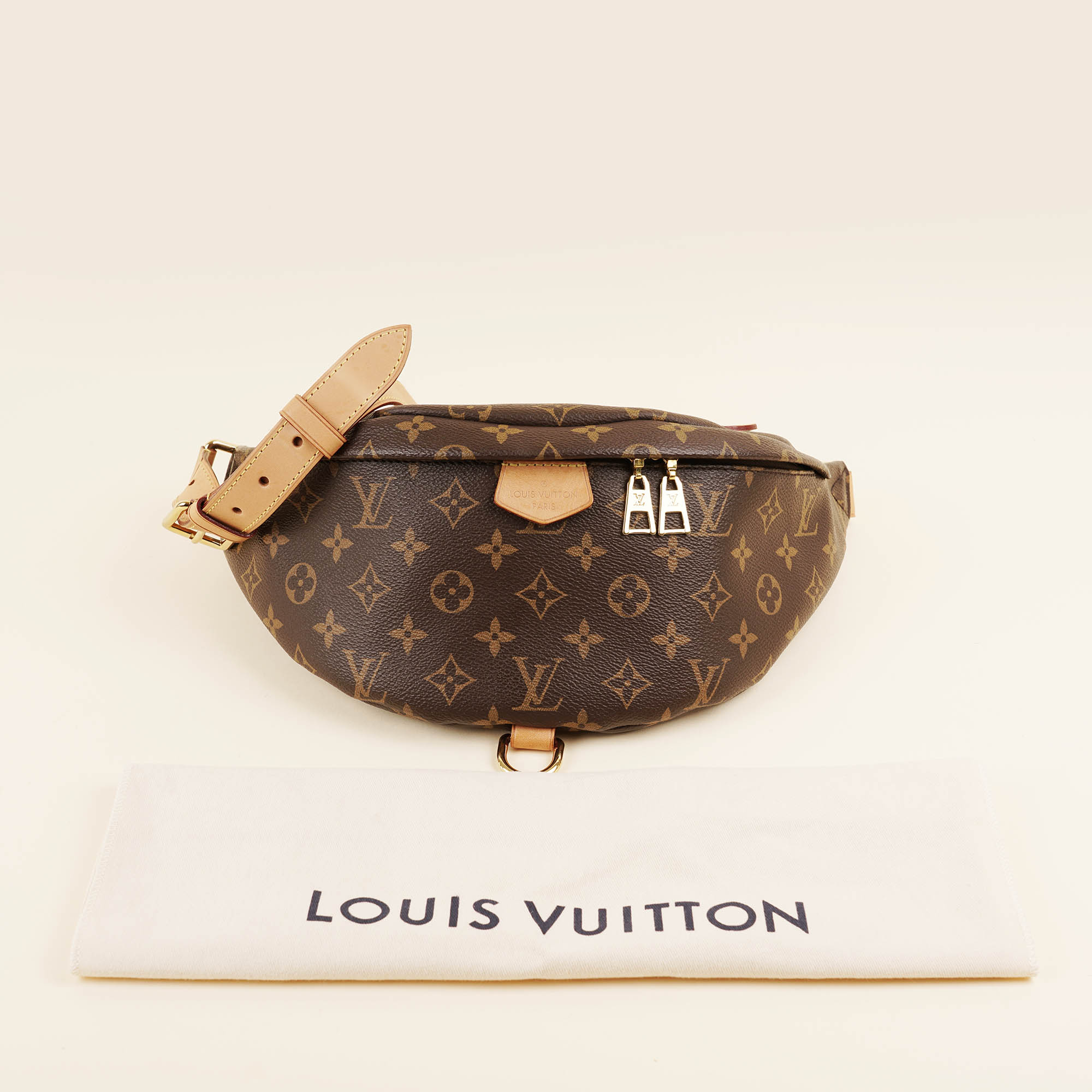 Bumbag - LOUIS VUITTON - Affordable Luxury image