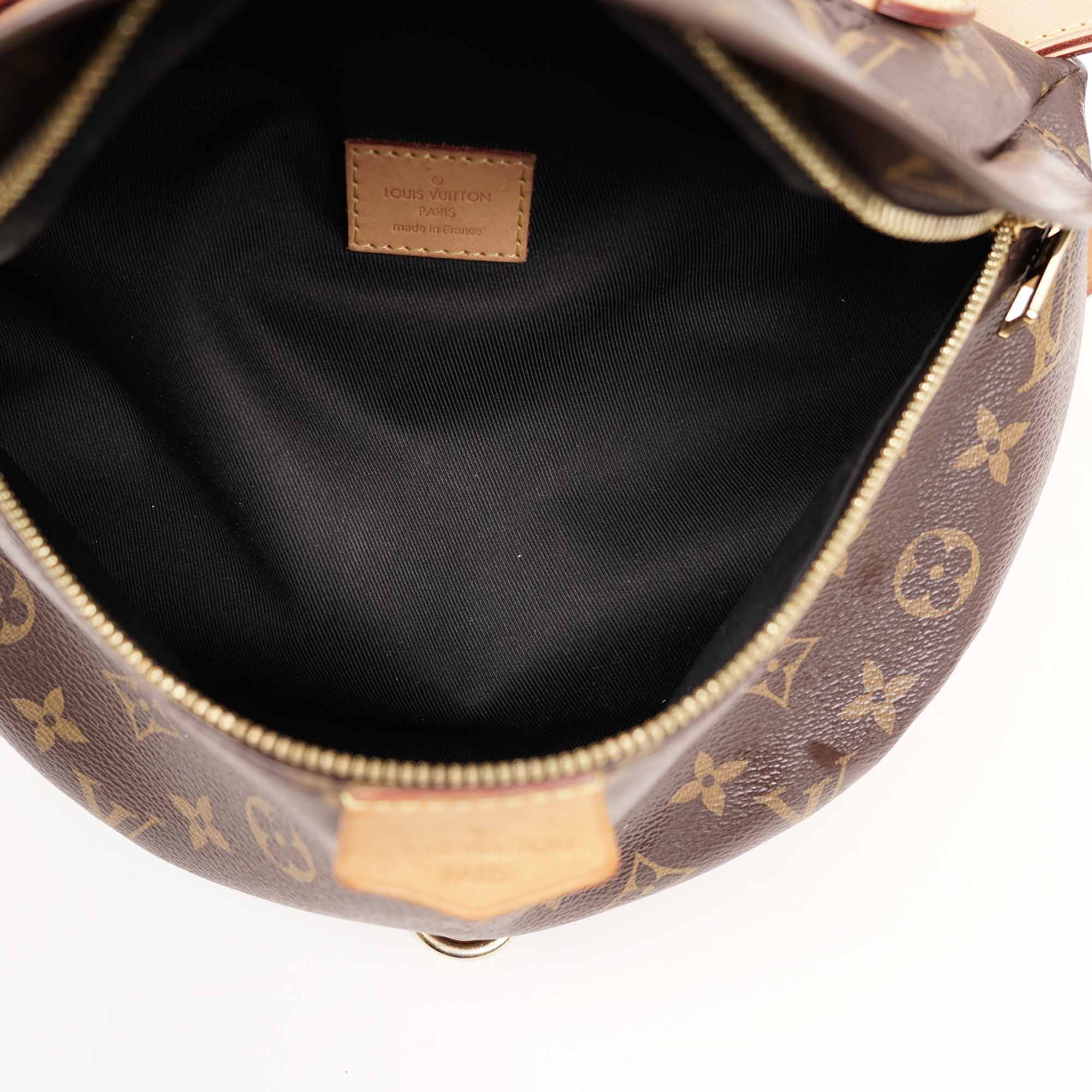 Bumbag - LOUIS VUITTON - Affordable Luxury image