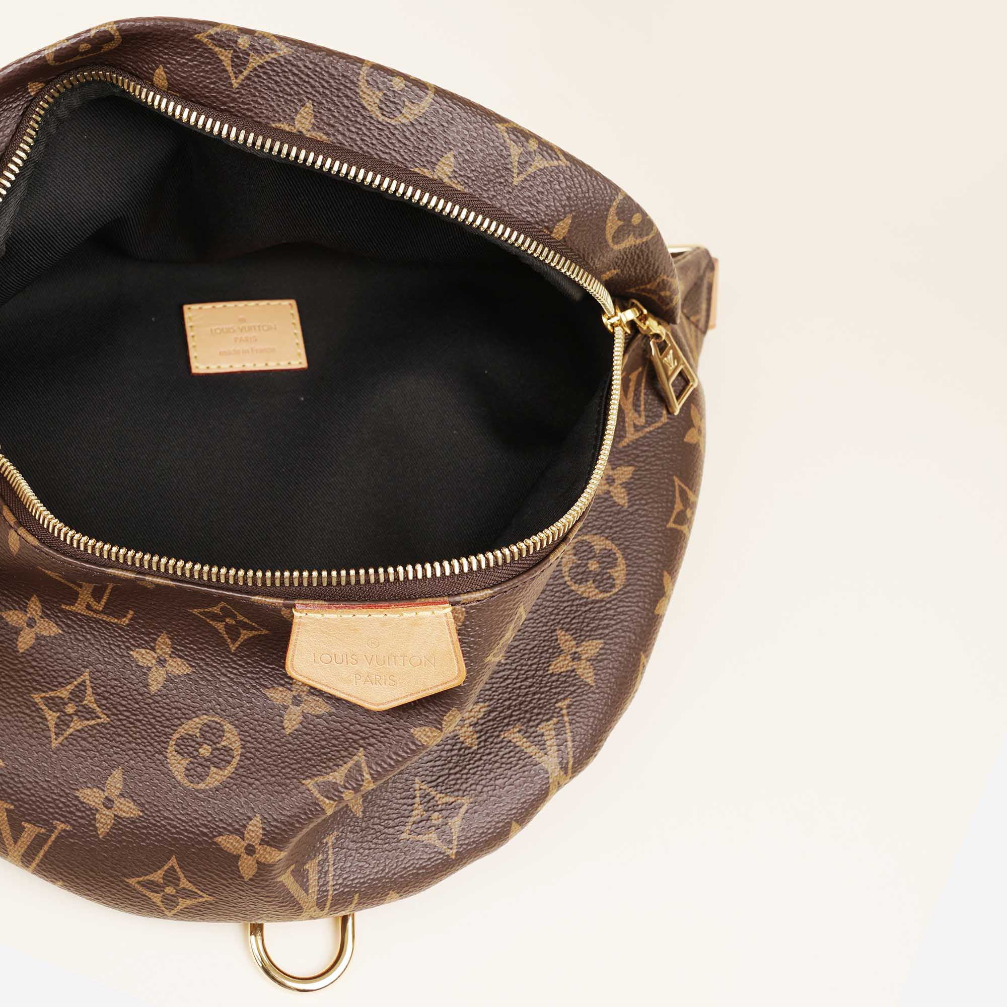 Bumbag - LOUIS VUITTON - Affordable Luxury image