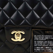 Classic Medium Double Flap Bag - CHANEL - Affordable Luxury thumbnail image