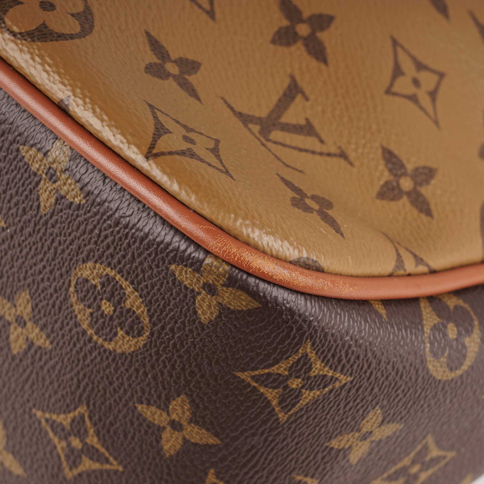 Dauphine Hobo Bag - LOUIS VUITTON - Affordable Luxury image