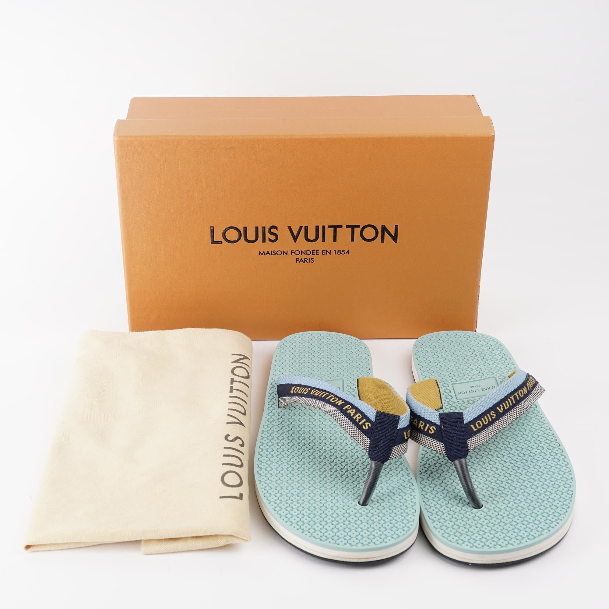 Louis vuitton flip flop sandals on sale