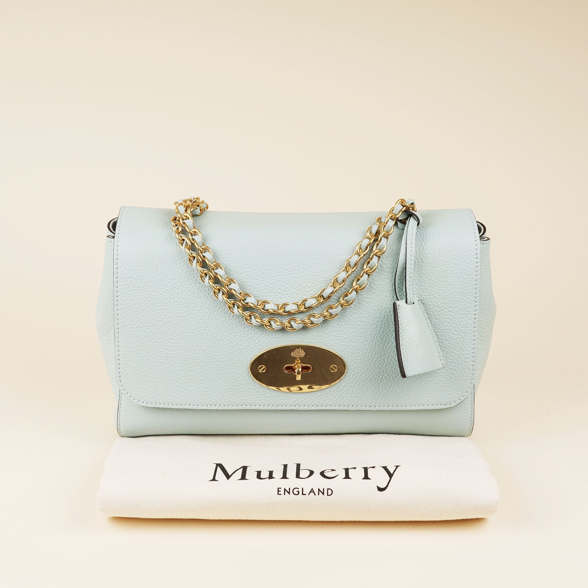 Medium Lily Shoulder Bag - MULBERRY - Affordable Luxury image