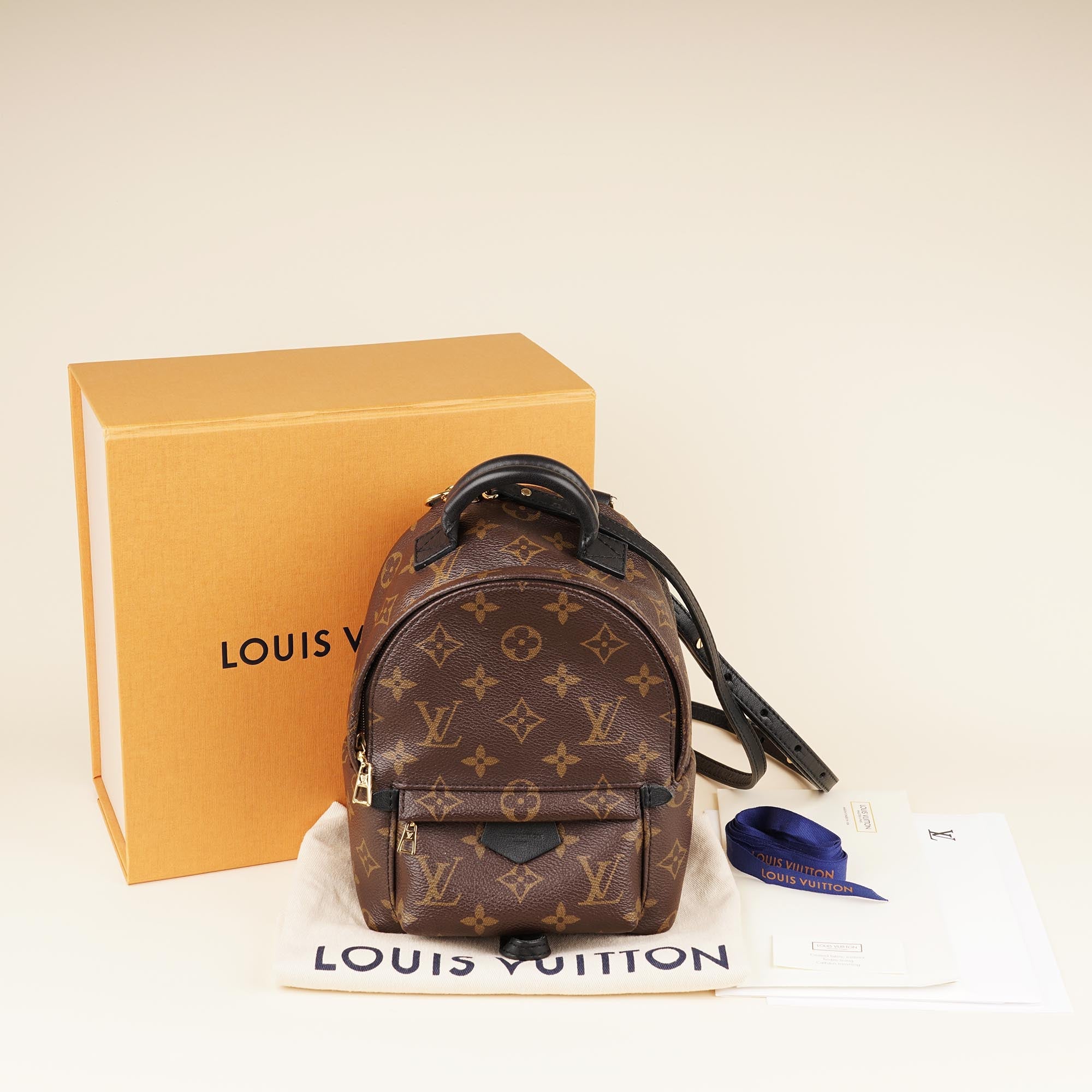 Louis Vuitton Monogram Palm Springs Mini Backpack Monogram Canvas