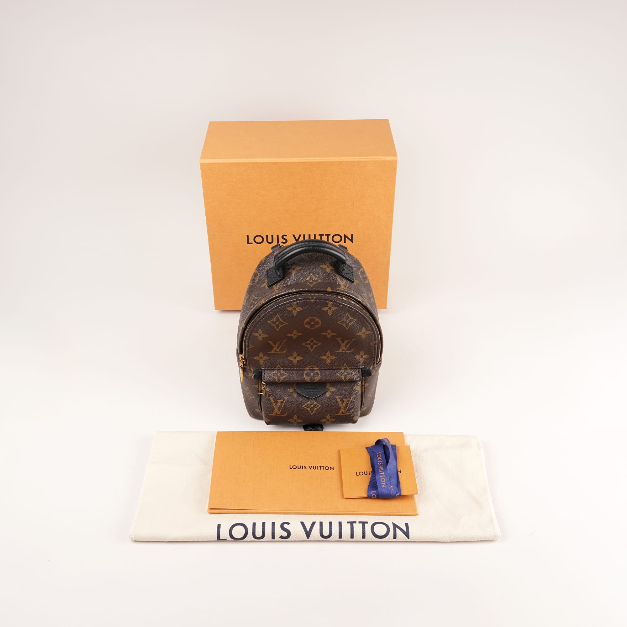Palm Springs Mini Backpack - LOUIS VUITTON - Affordable Luxury image