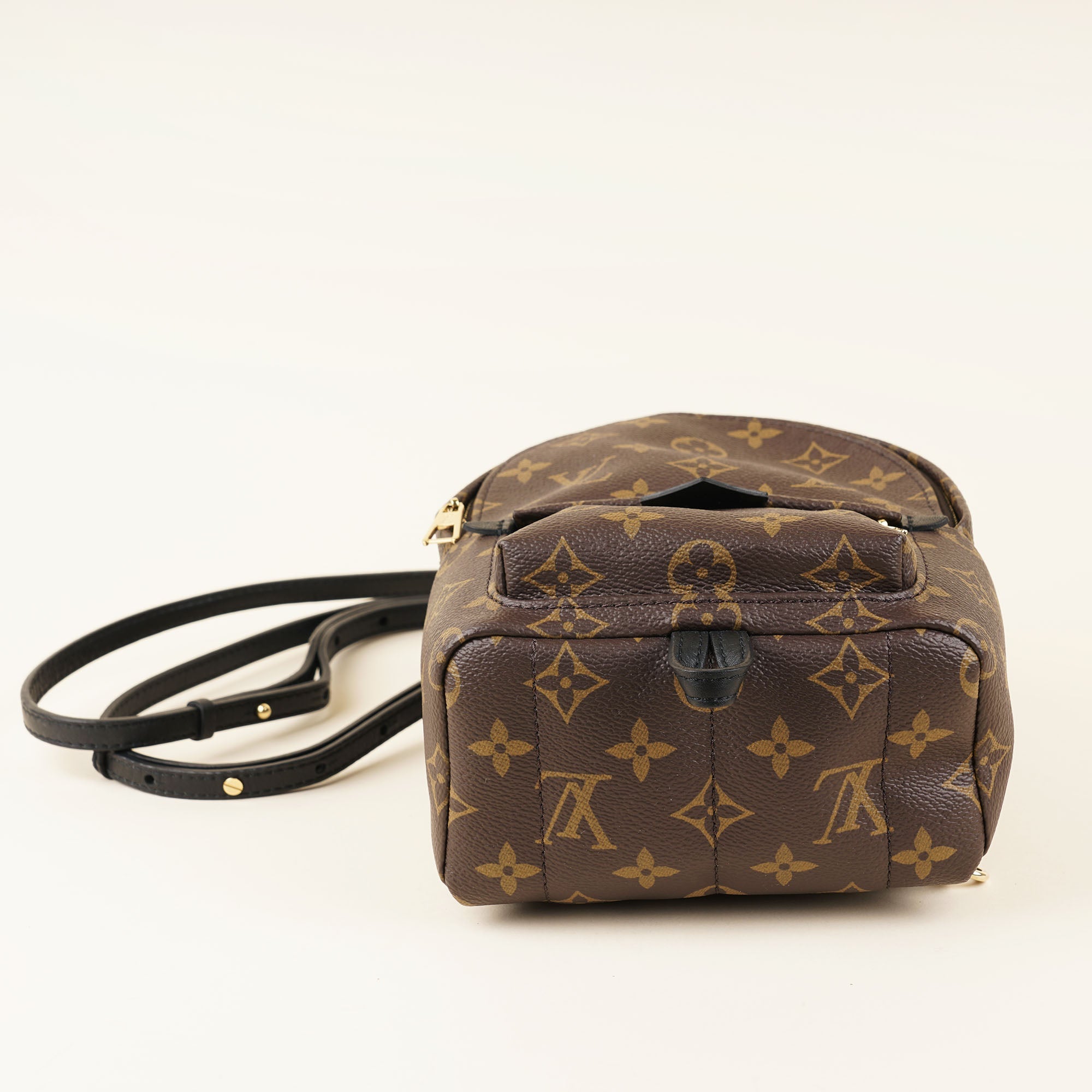 Palm Springs Mini Backpack - LOUIS VUITTON - Affordable Luxury image