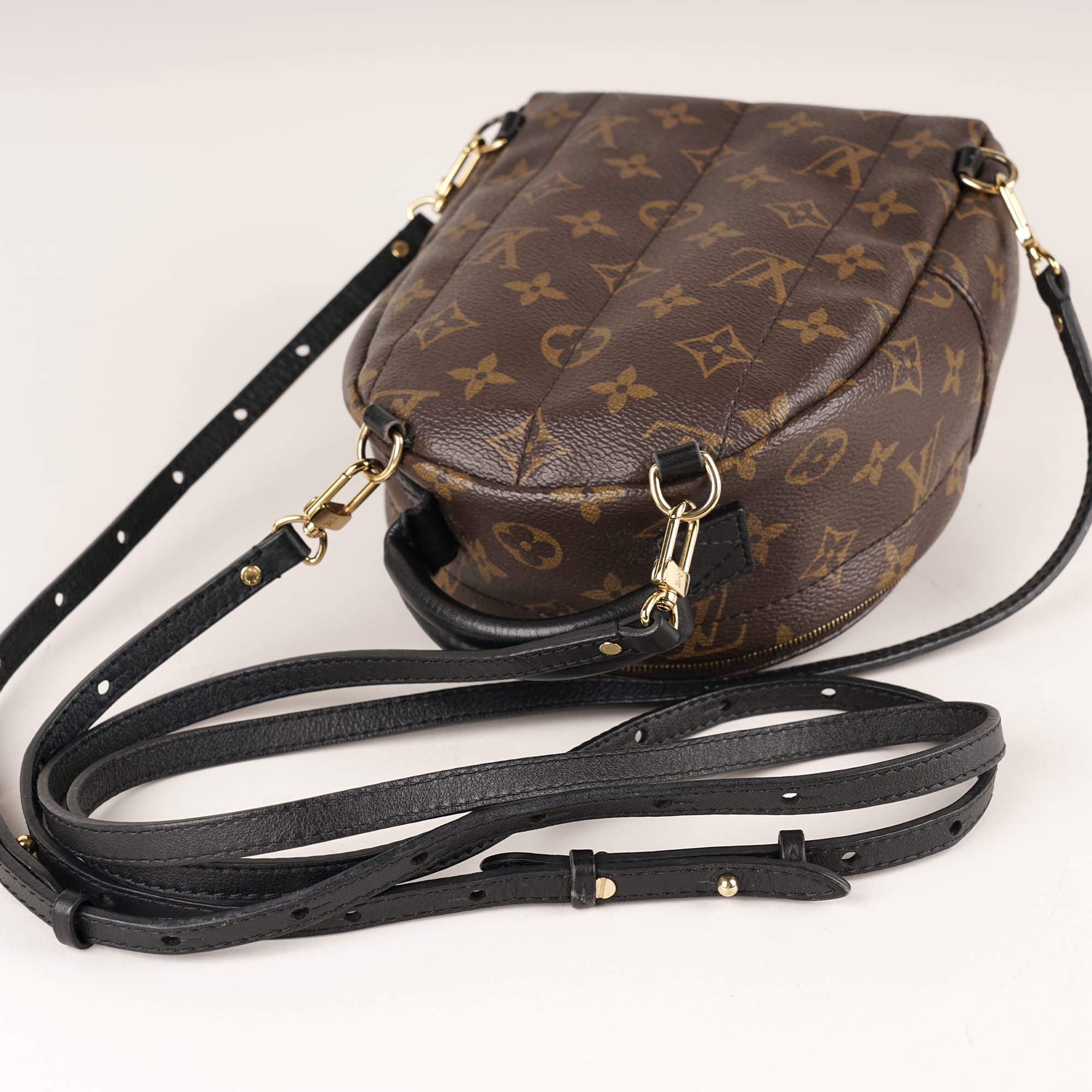 Palm Springs Mini Backpack - LOUIS VUITTON - Affordable Luxury image