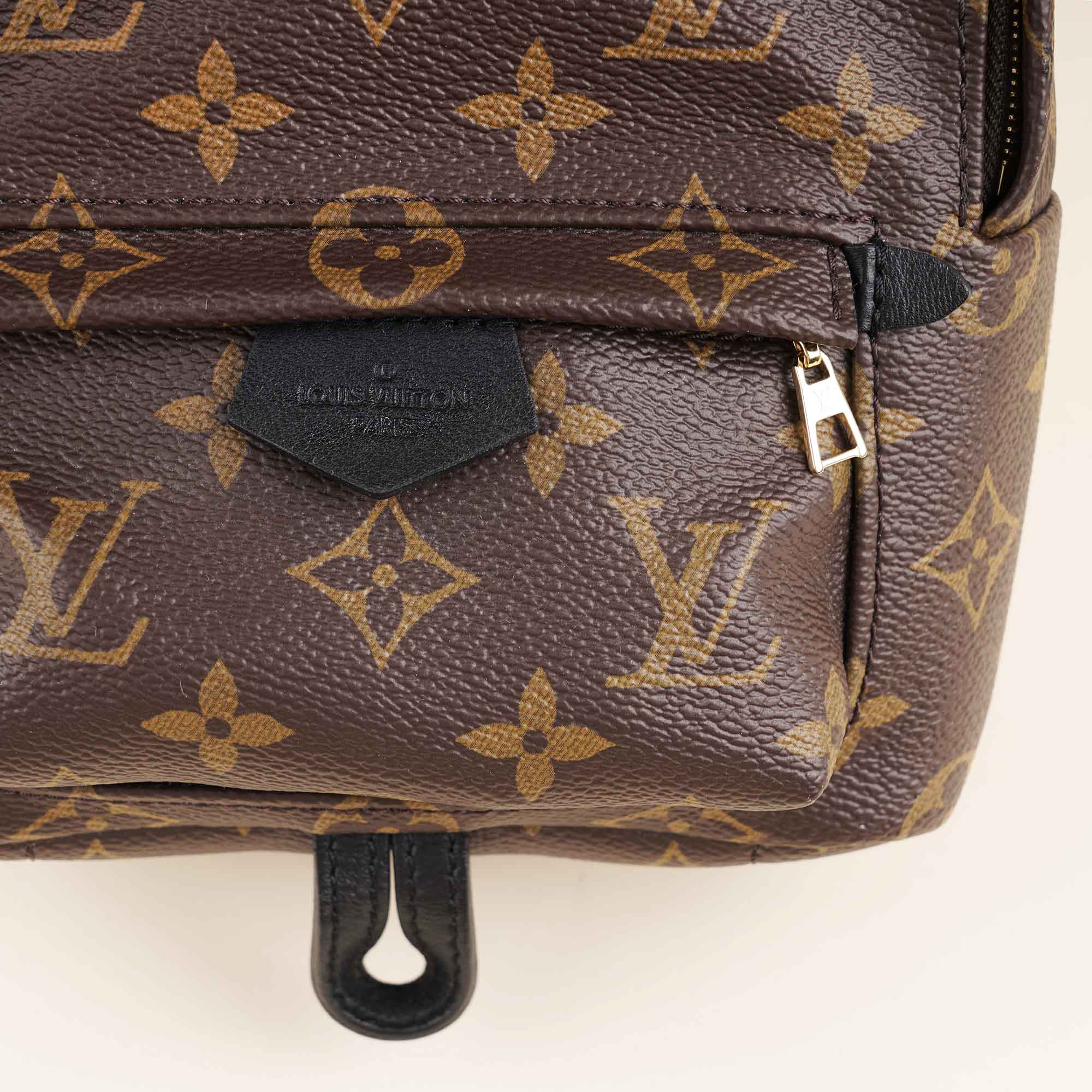 Palm Springs Mini Backpack - LOUIS VUITTON - Affordable Luxury image