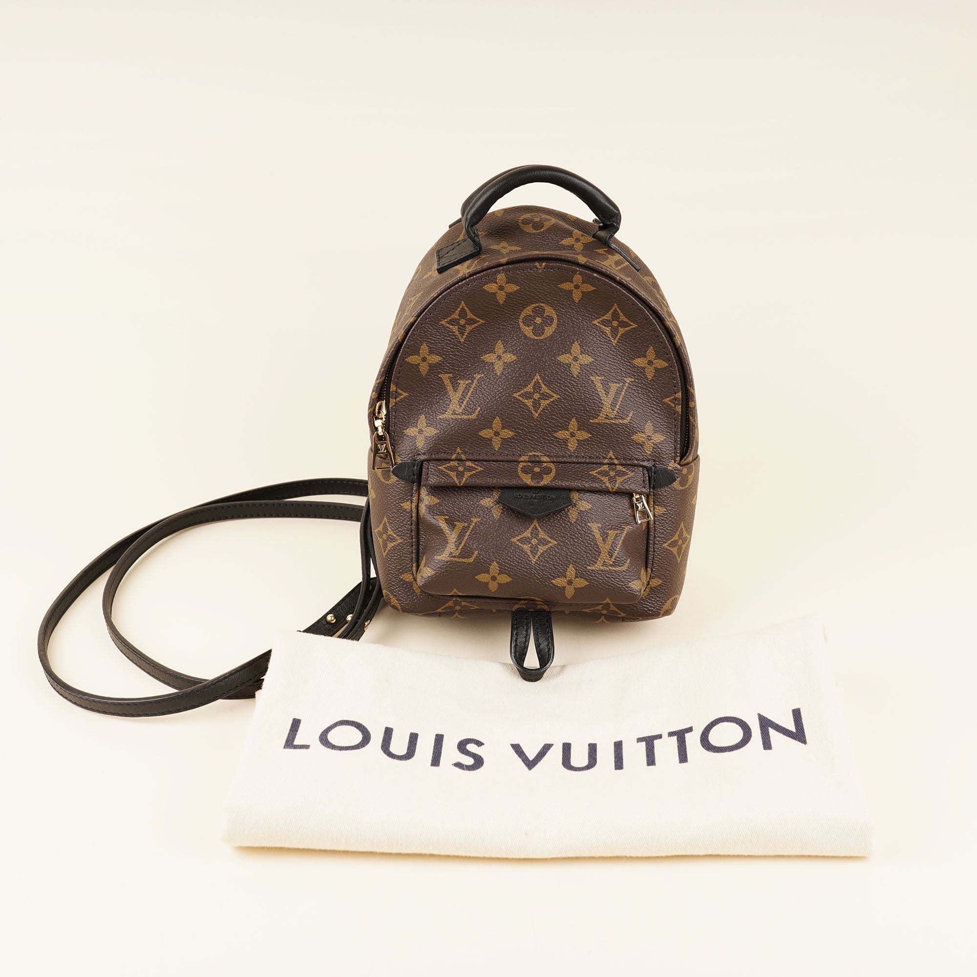 Lv mini backpack palm springs sale