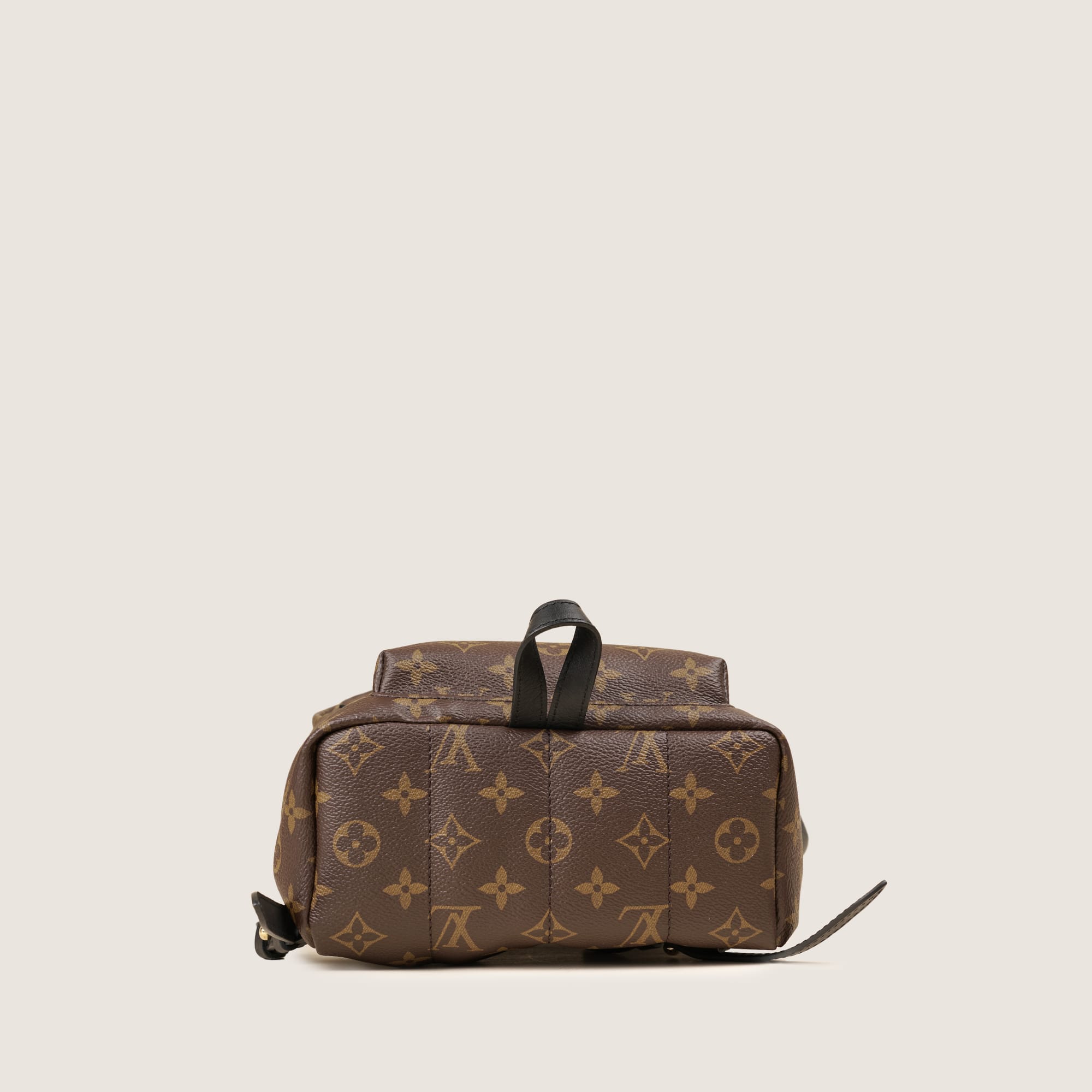 Palm Springs PM Backpack - LOUIS VUITTON - Affordable Luxury image