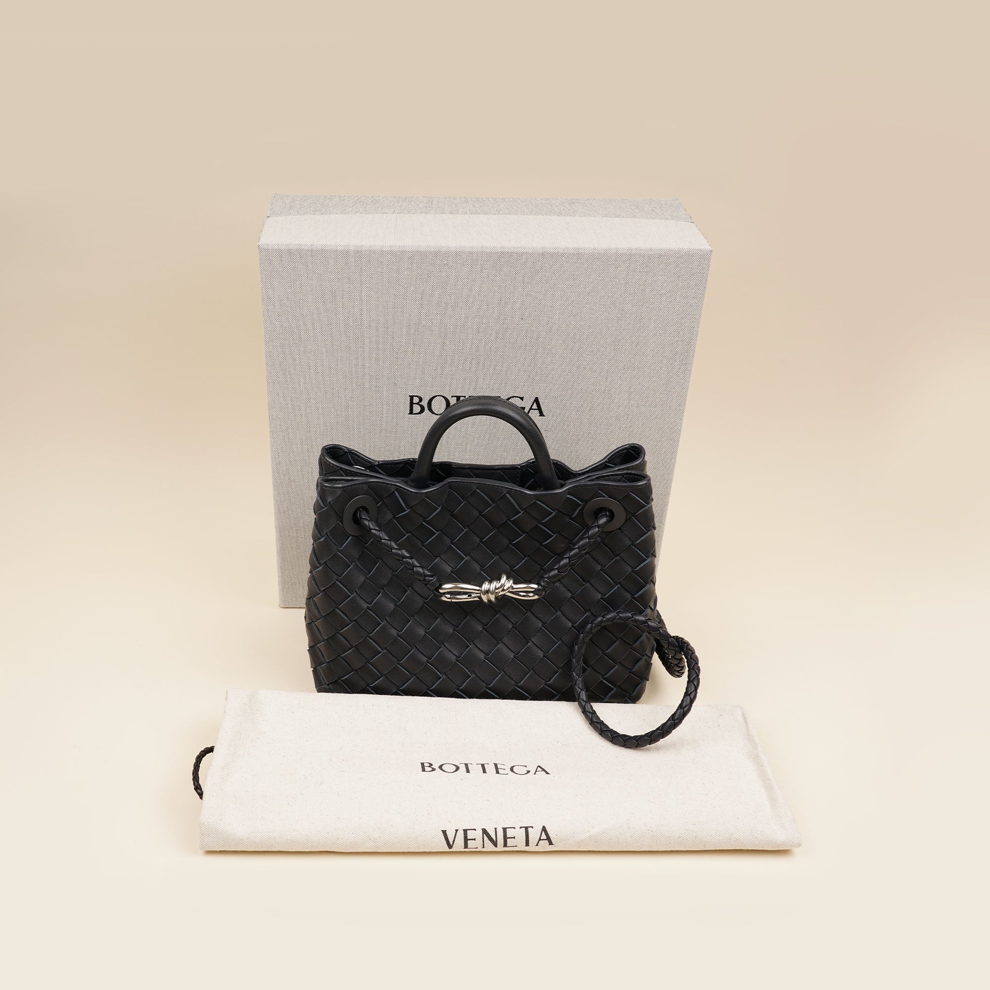 Small Andiamo Tote Bag - BOTTEGA VENETA - Affordable Luxury image