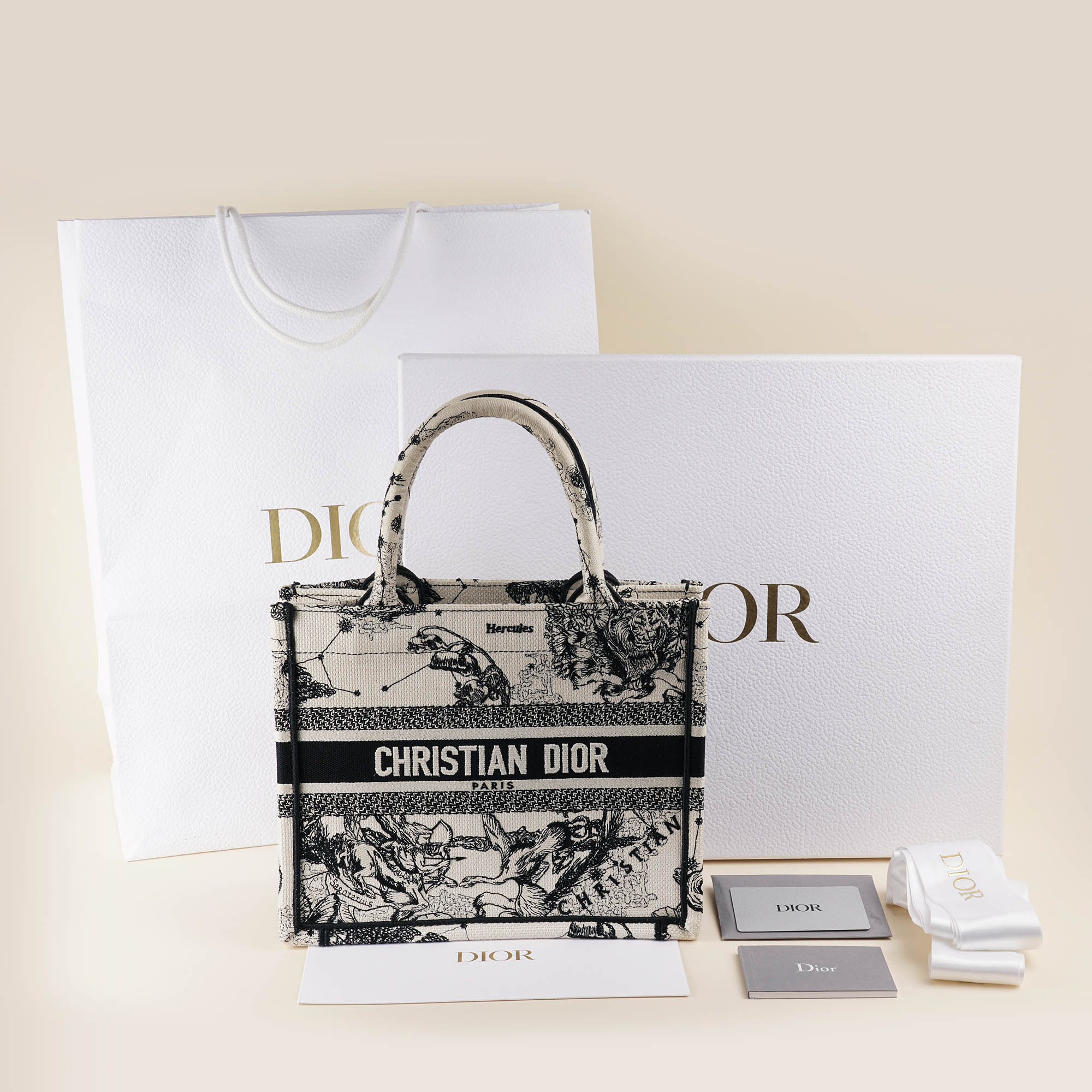 Small Book Tote - CHRISTIAN DIOR - Affordable Luxury image