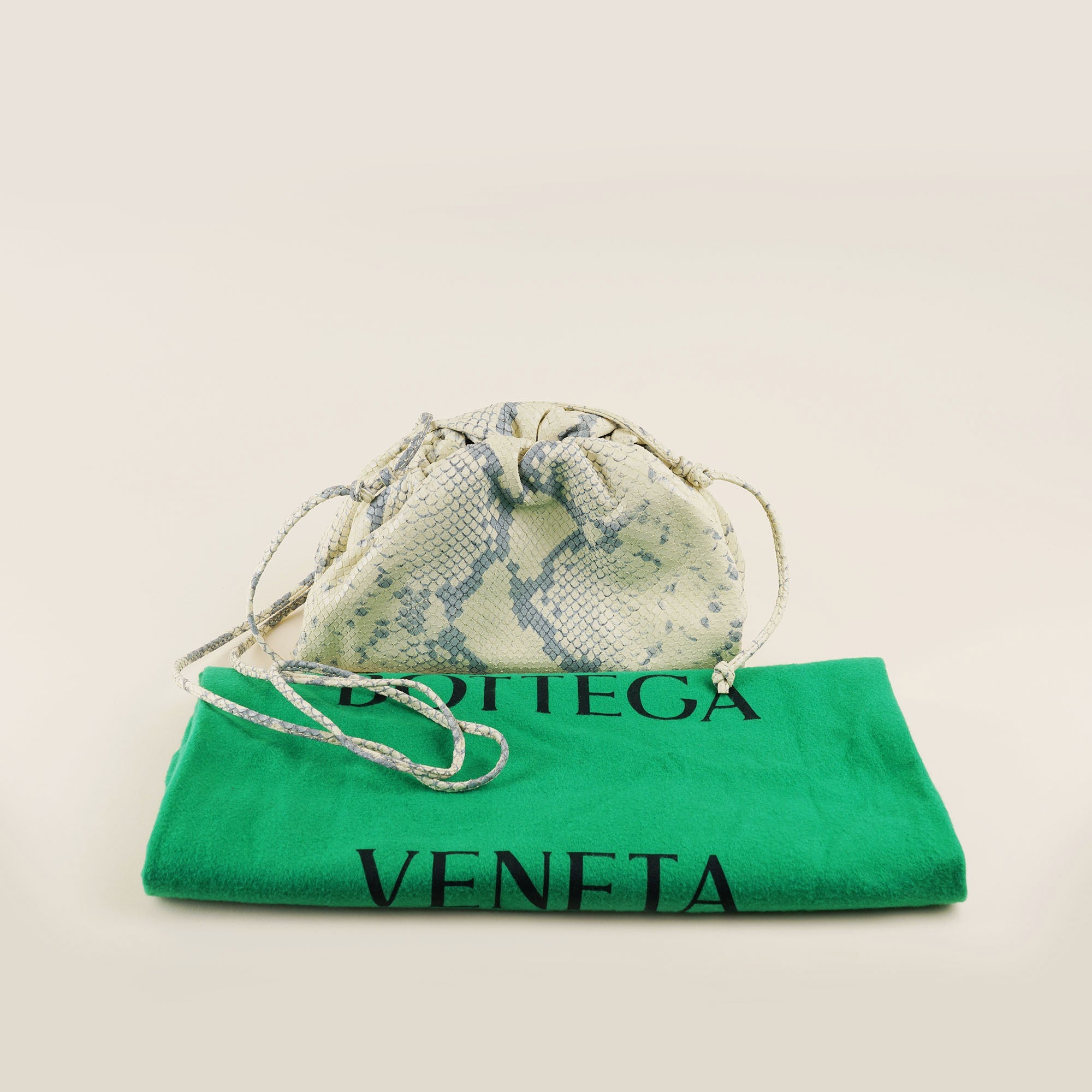 The Mini Pouch - BOTTEGA VENETA - Affordable Luxury image